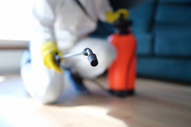 Trusted Pinehurst, NC Mold Removal Experts